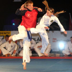 BUDOSHOW 2007